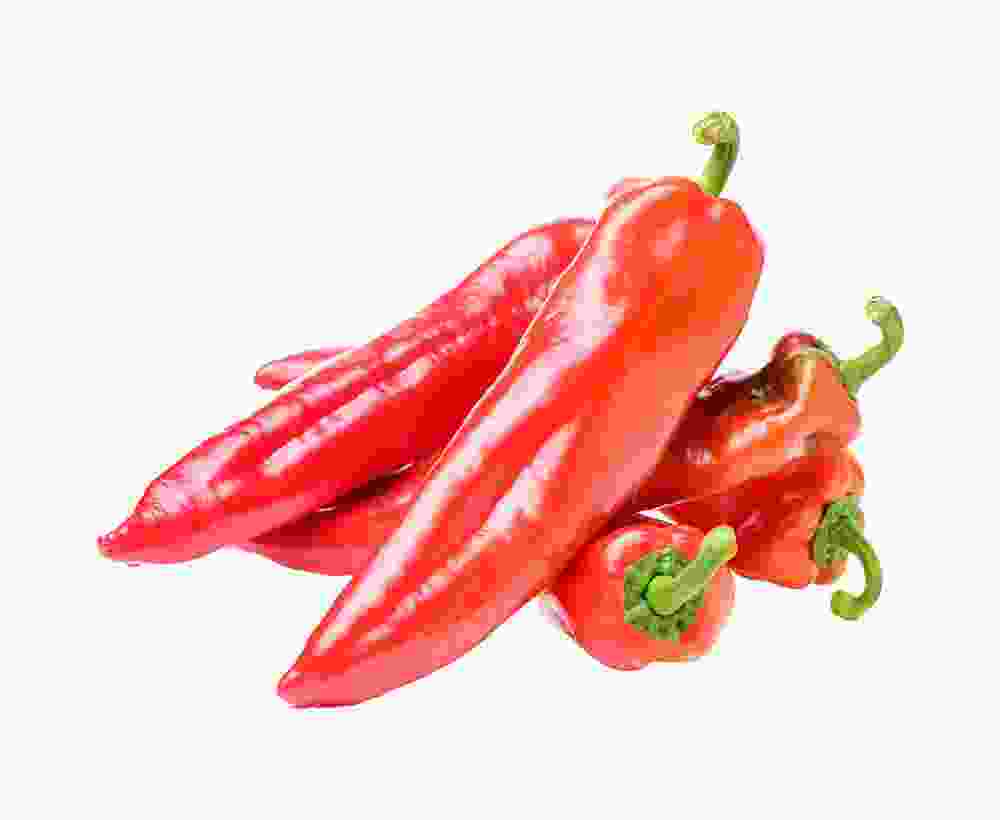 Shop Secondary Image Shop Secondary Image