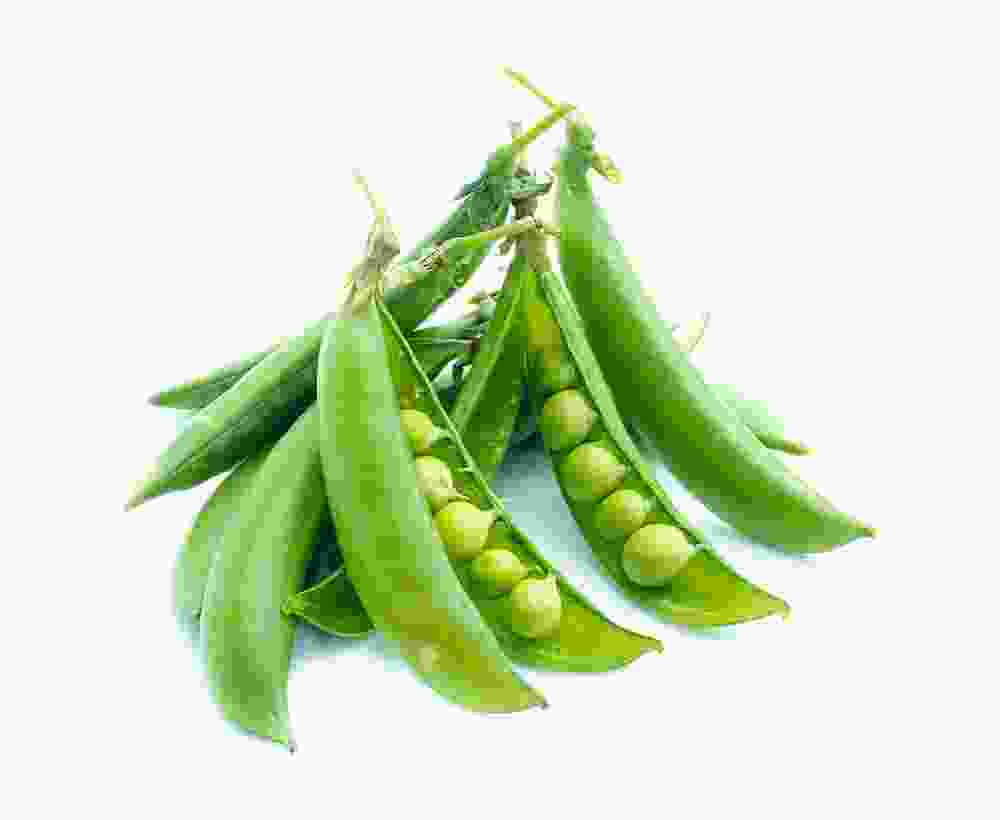 Shop Secondary Image Shop Secondary Image